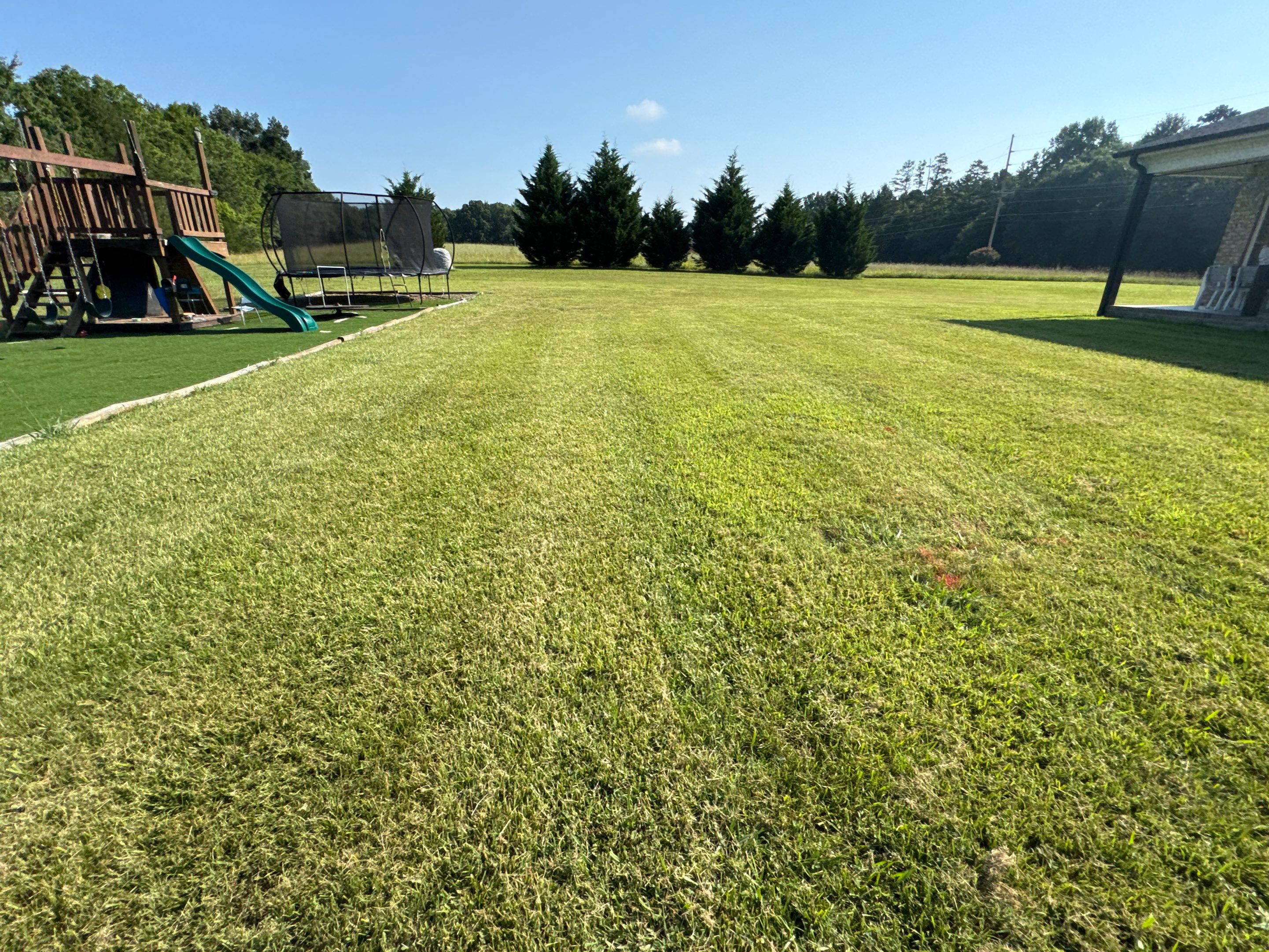 Backyard before pool installation — open lawn ready for transformation
